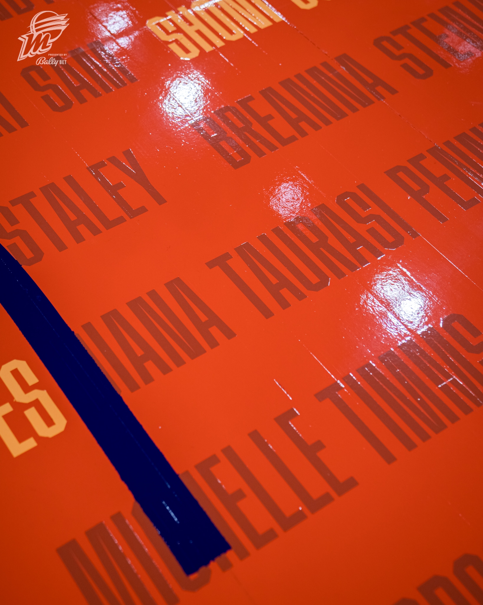 2024 WNBA All-Star Court