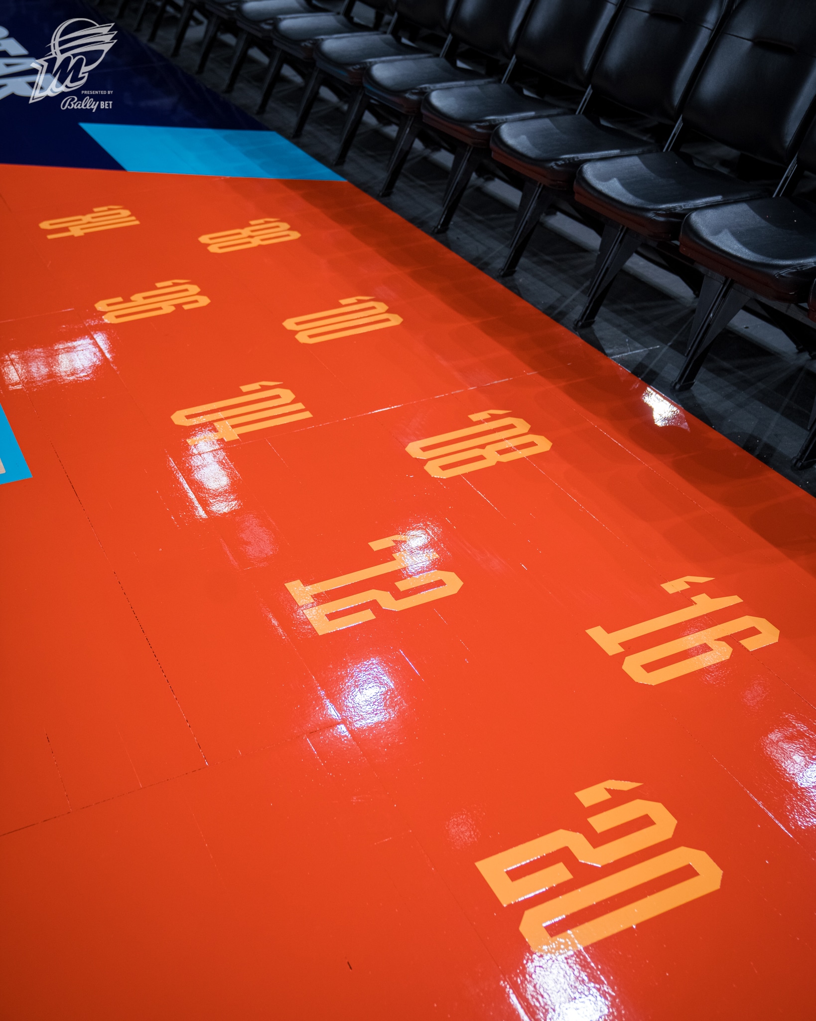 2024 WNBA All-Star Court