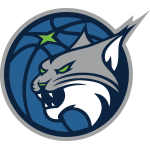 Minnesota Logo