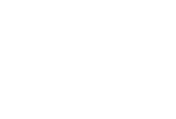 Phoenix Mercury Playoffs Logo