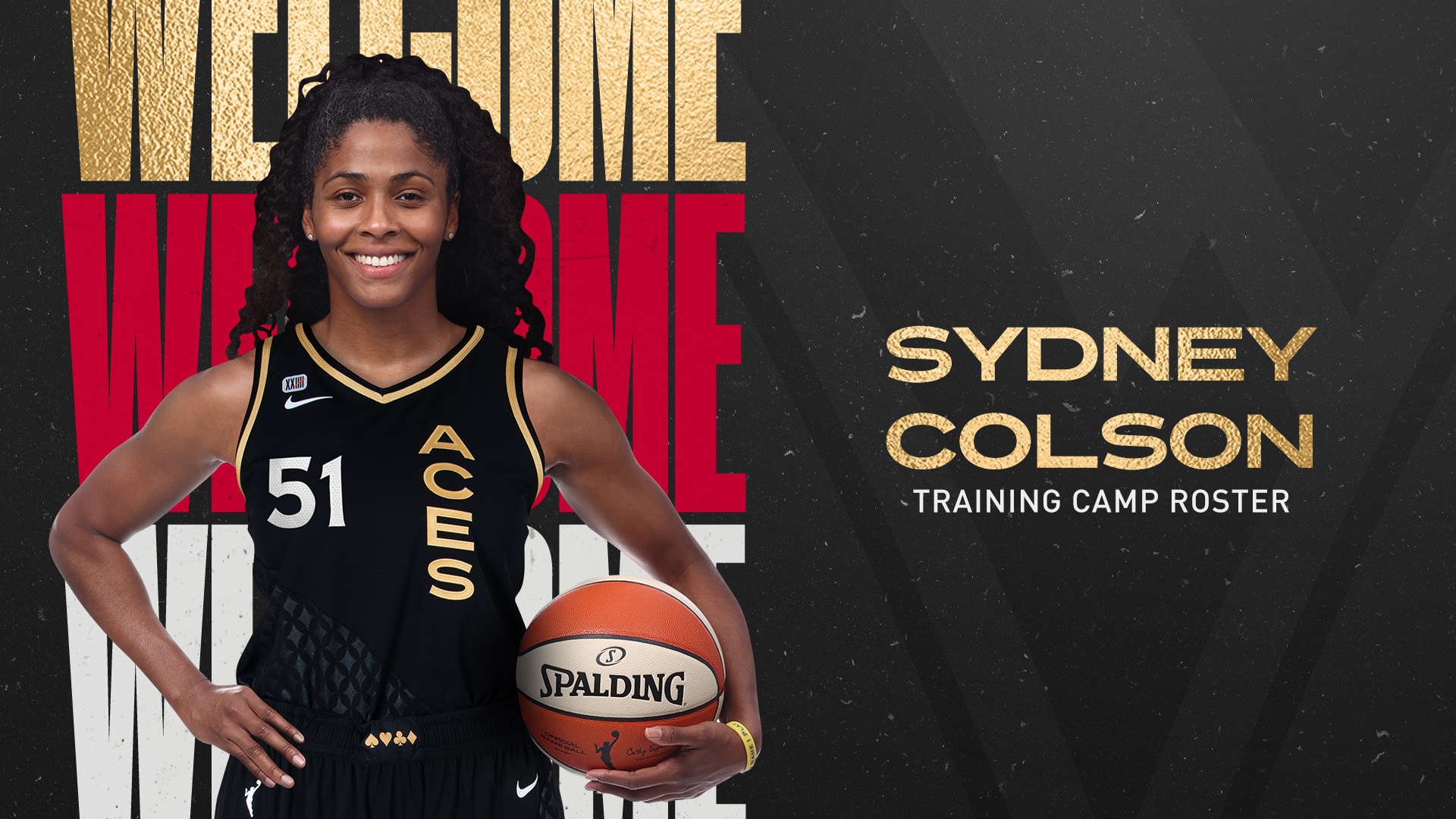 Aces Sign Veteran Guard Sydney Colson