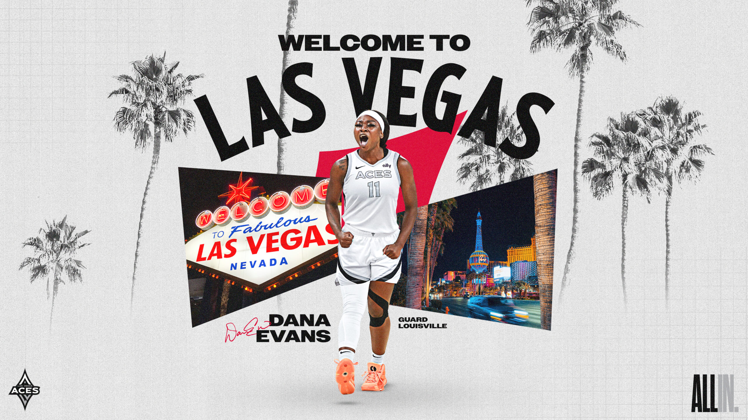 Las Vegas Aces Sign WNBA Veteran Tiffany Mitchell