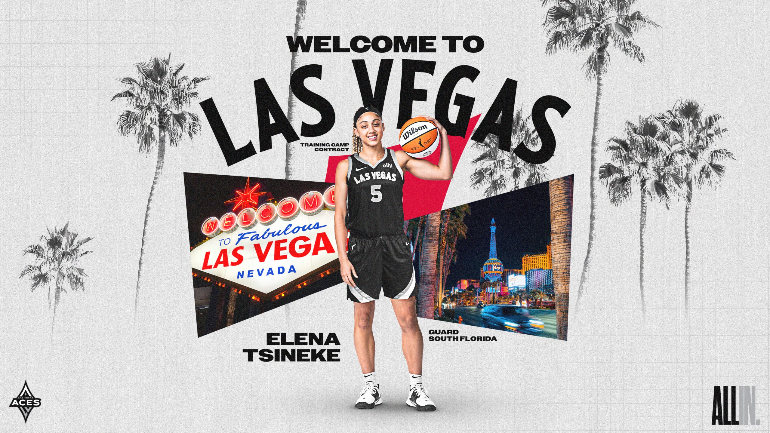 Las Vegas Aces Sign Elena Tsineke to Training Camp Contract