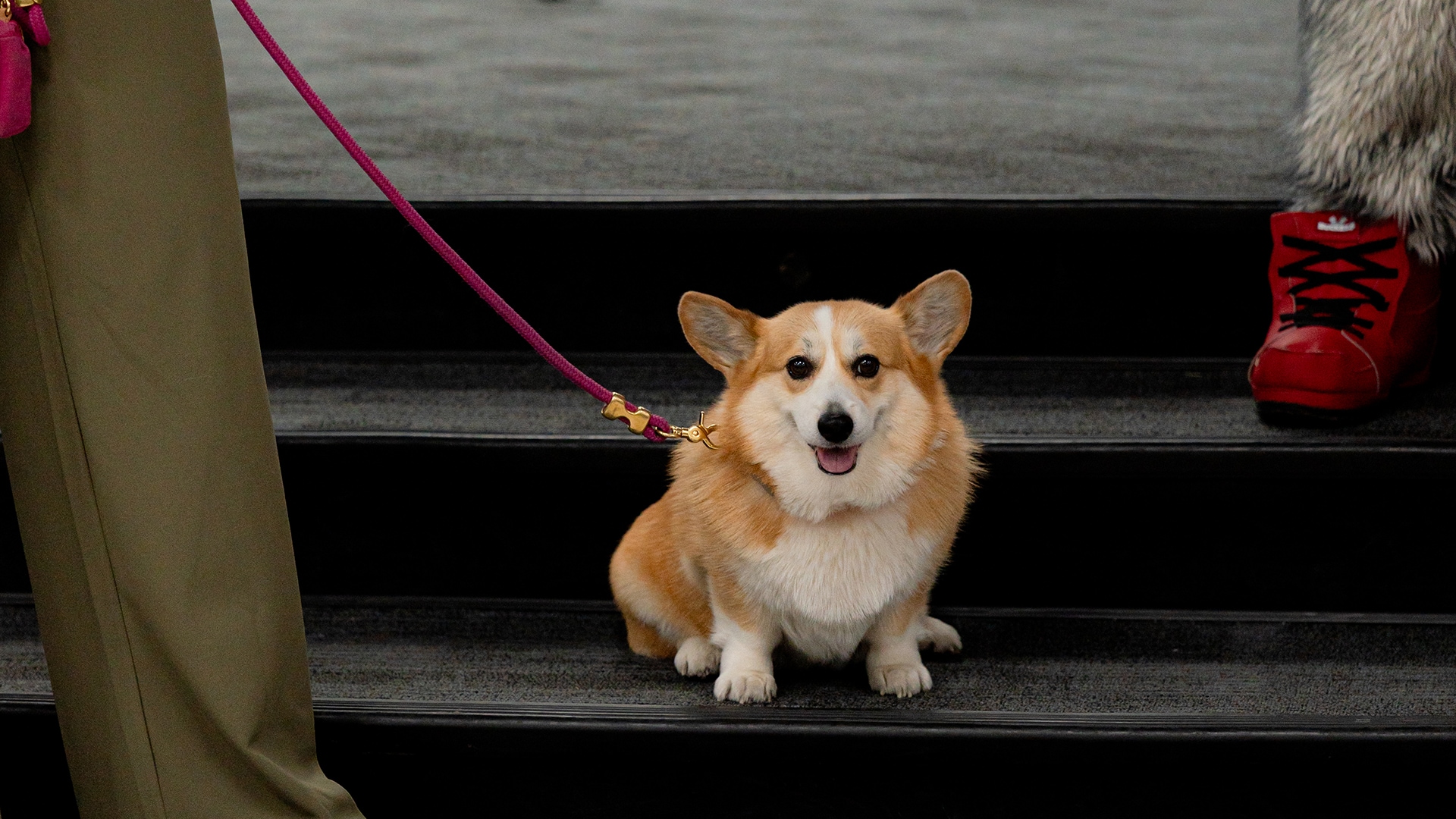 Aces Slam Dunk Health Challenge Award Winners (4/16/2025)