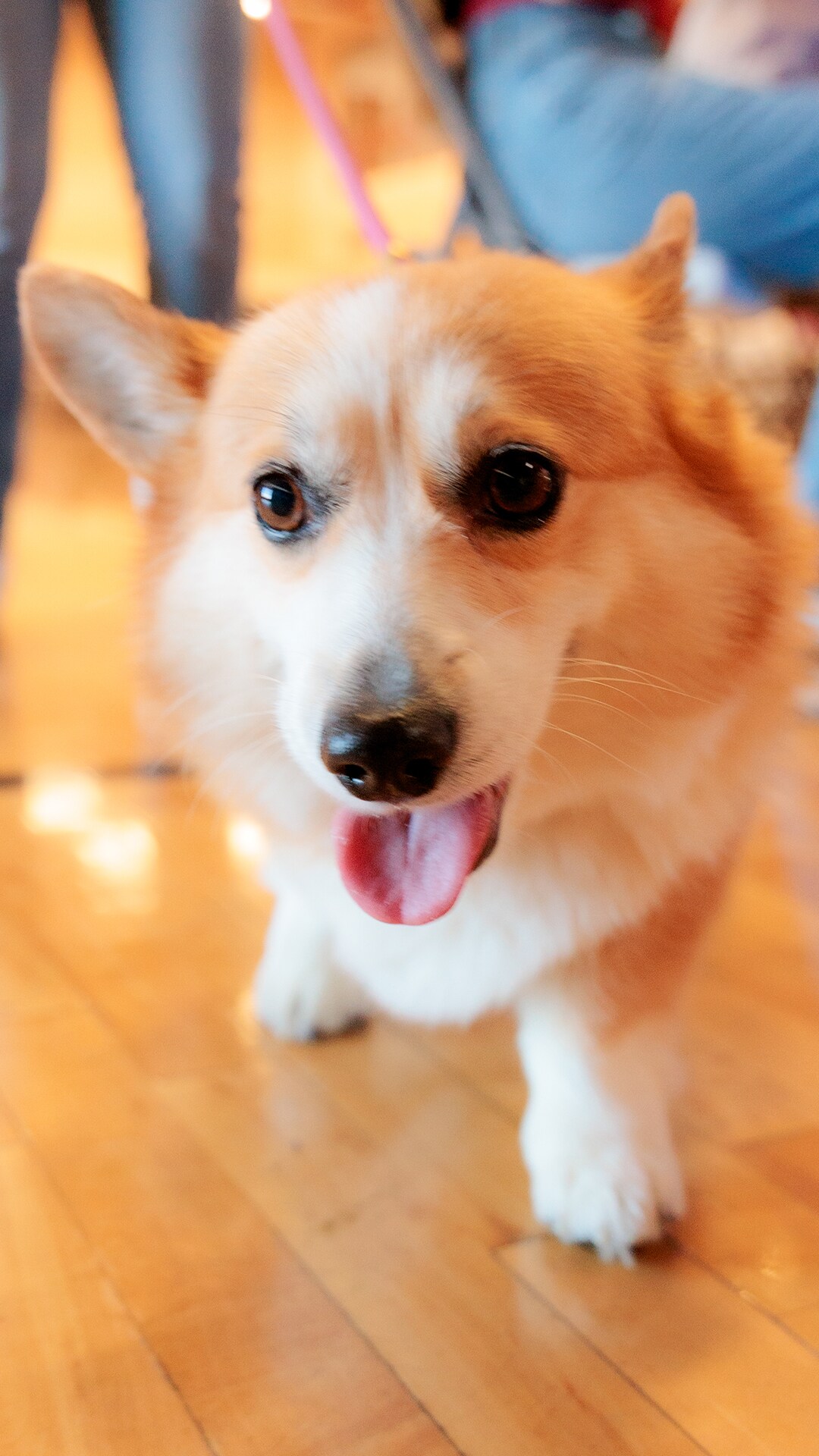 YMCA Book Tour Stop for Library Card Sign-Up Month (9/8/2025)