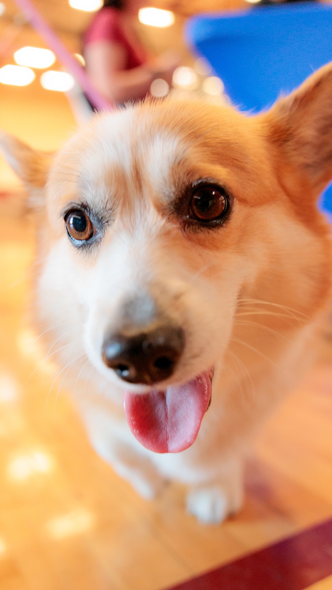 YMCA Book Tour Stop for Library Card Sign-Up Month (9/8/2025)