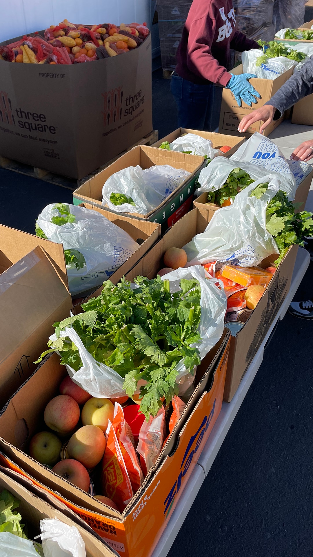 Aces and Just One Project Food Drive (2/25/2025)