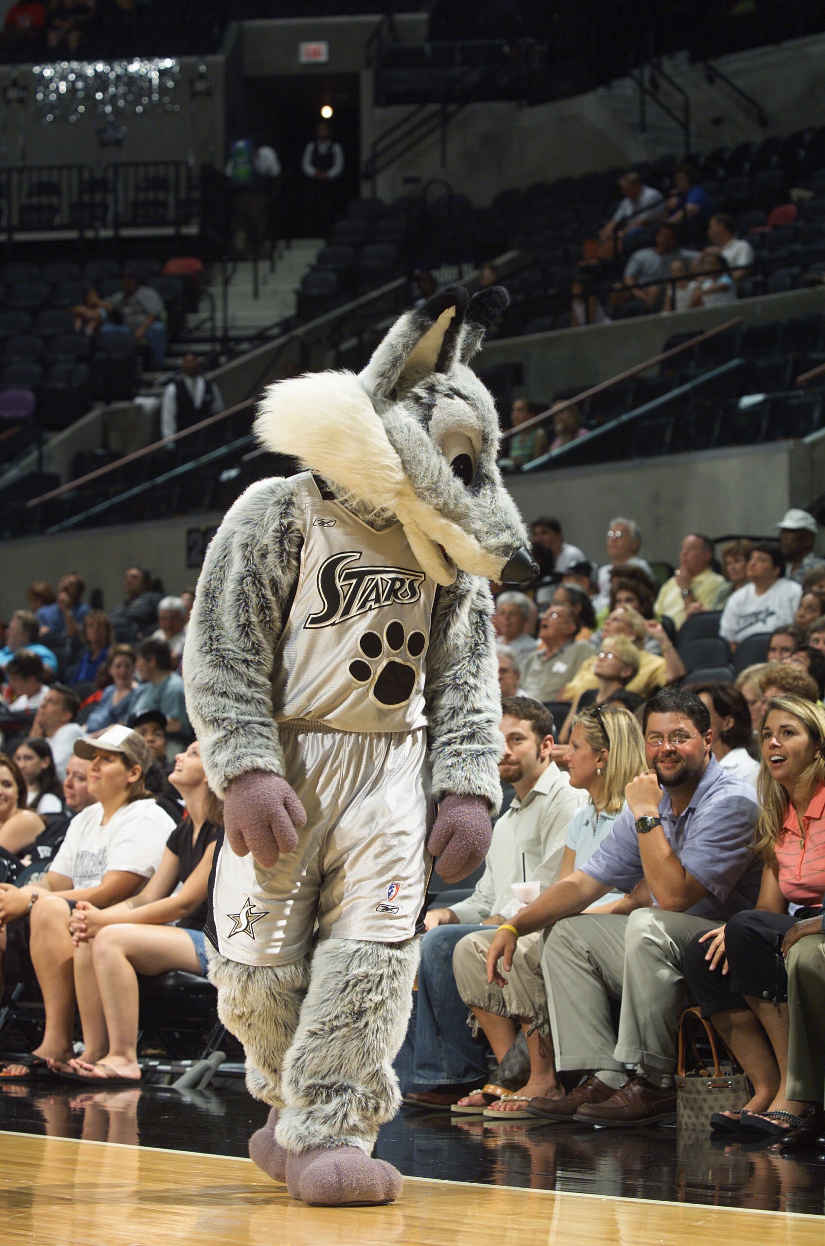 Fever v Silver Stars