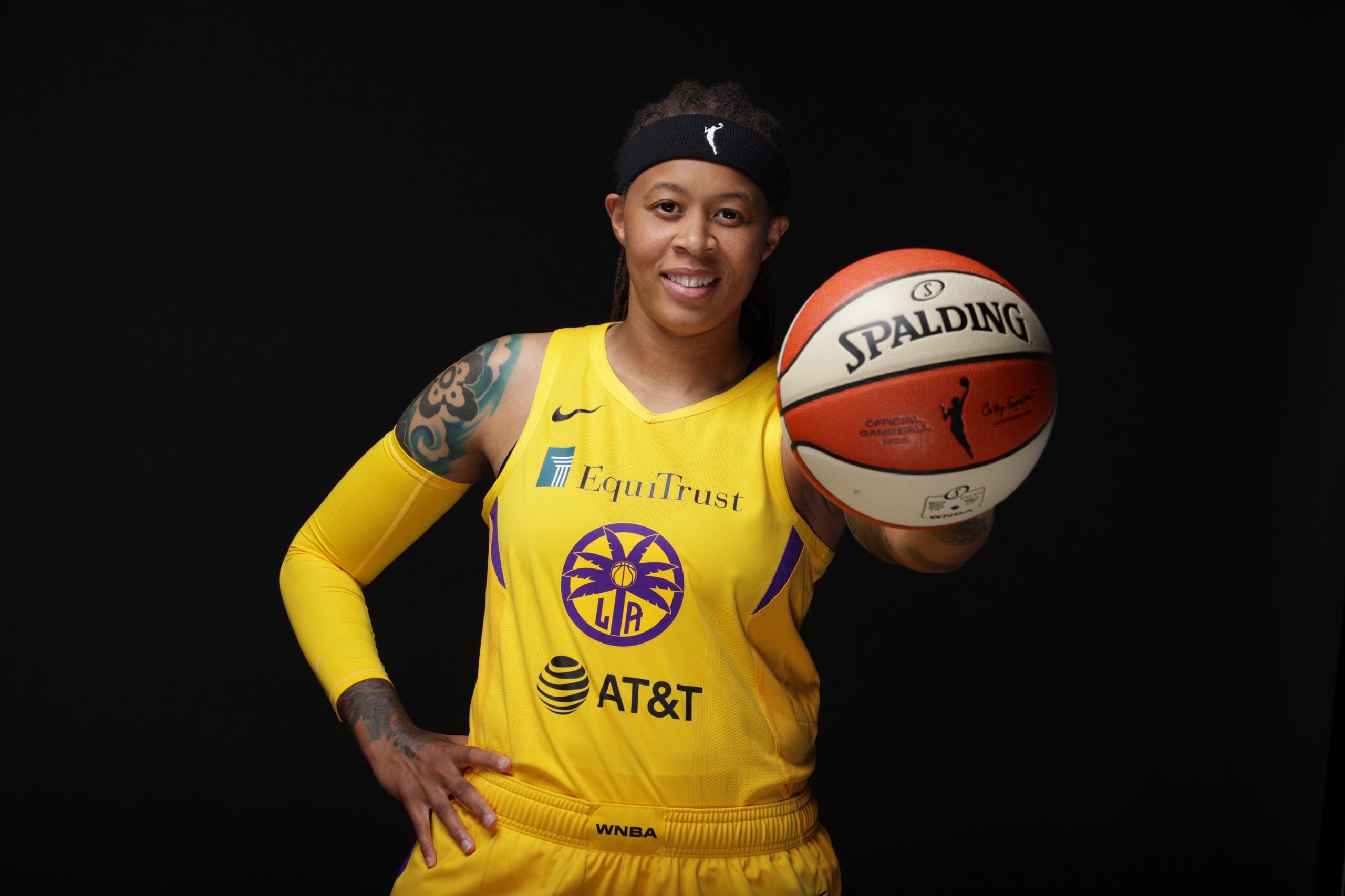 希少 WNBA SACRAMENTO MONARCHS ビブス Lサイズ Sacramento Monarchs Team Issued 2003 Home Jersey #22 DeMya