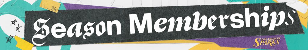 24460