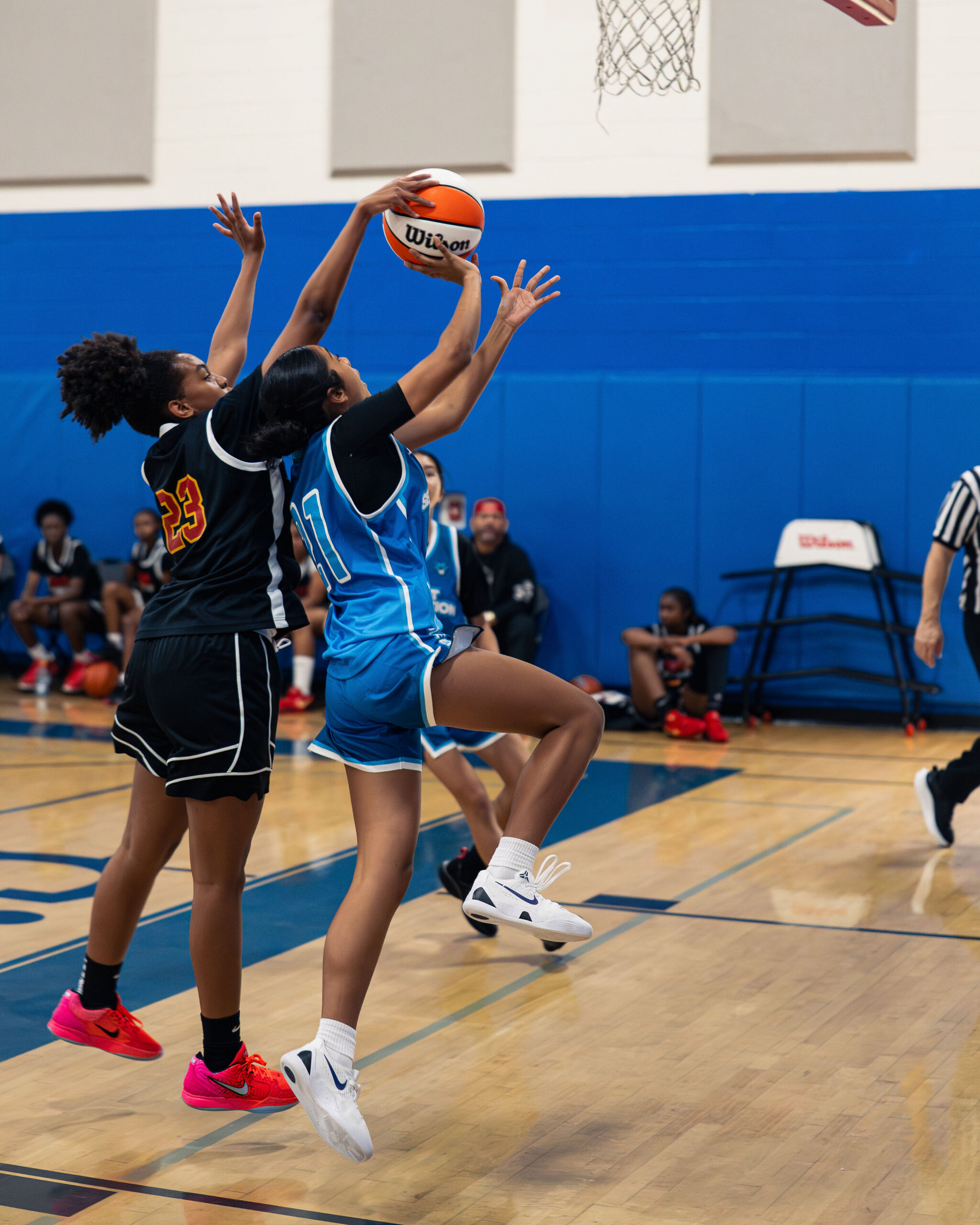 DSC08835-Enhanced-NR