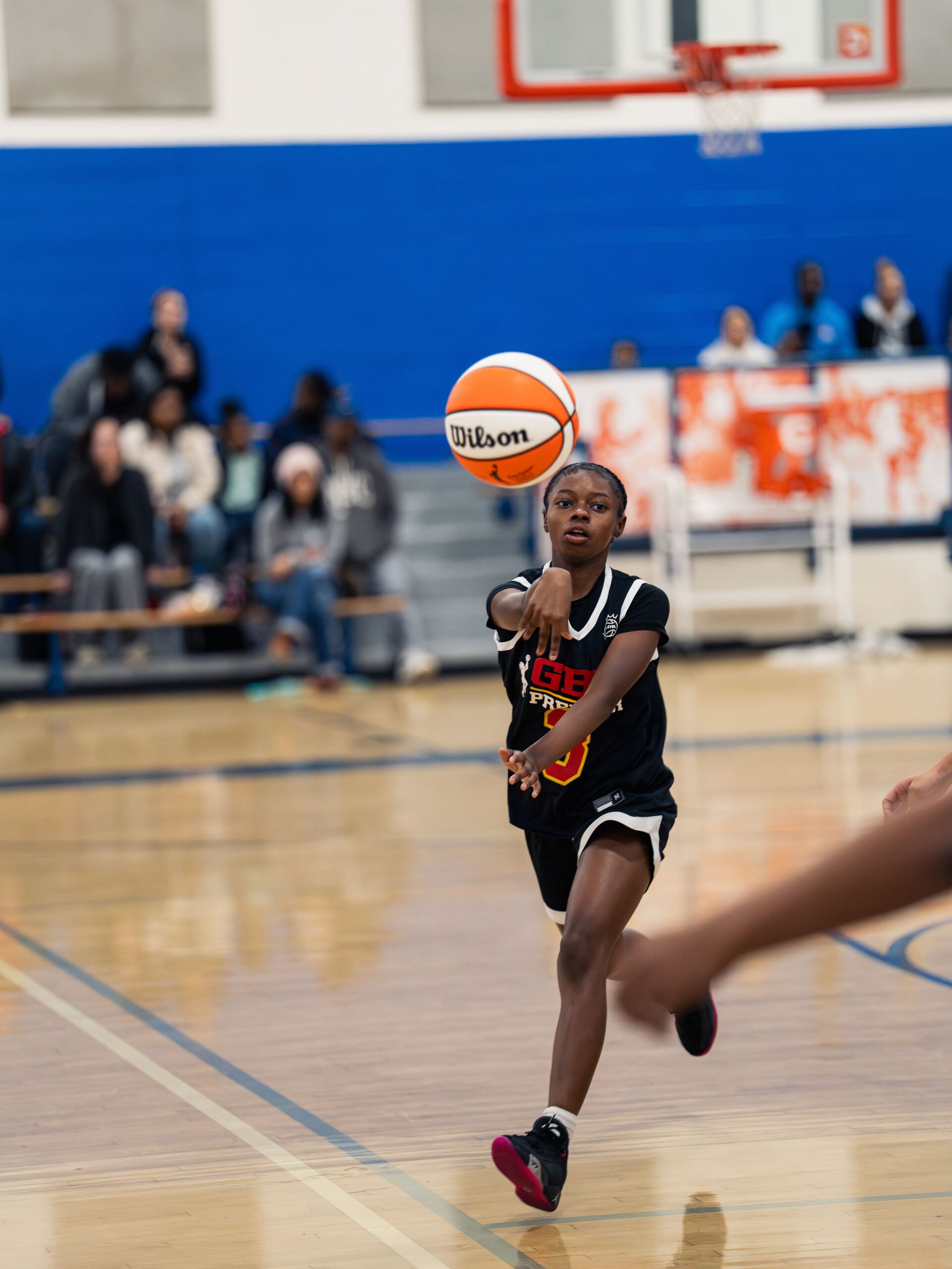 DSC08902-Enhanced-NR