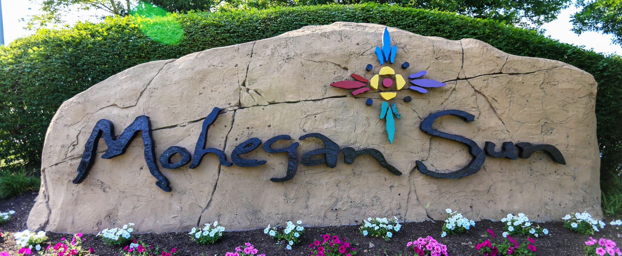 cover-image