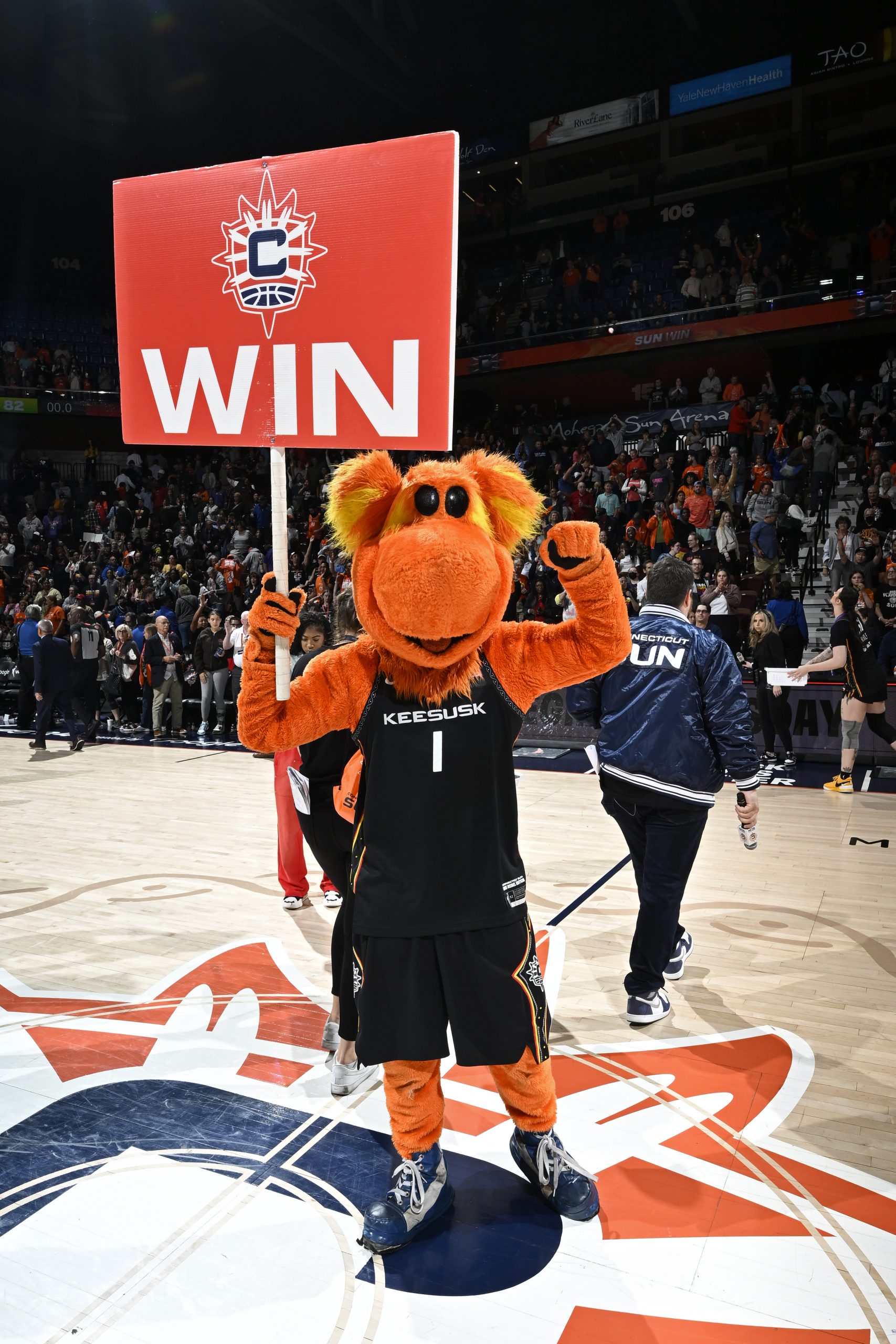 Minnesota Lynx v Connecticut Sun