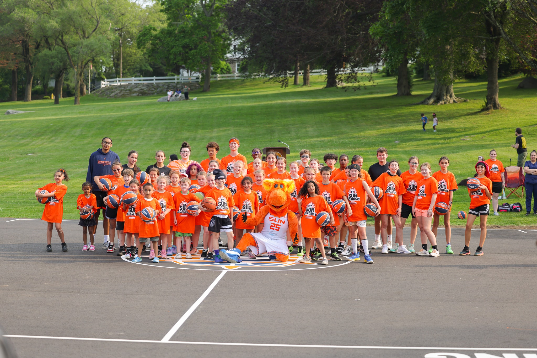 Washington Park Court Unveiling