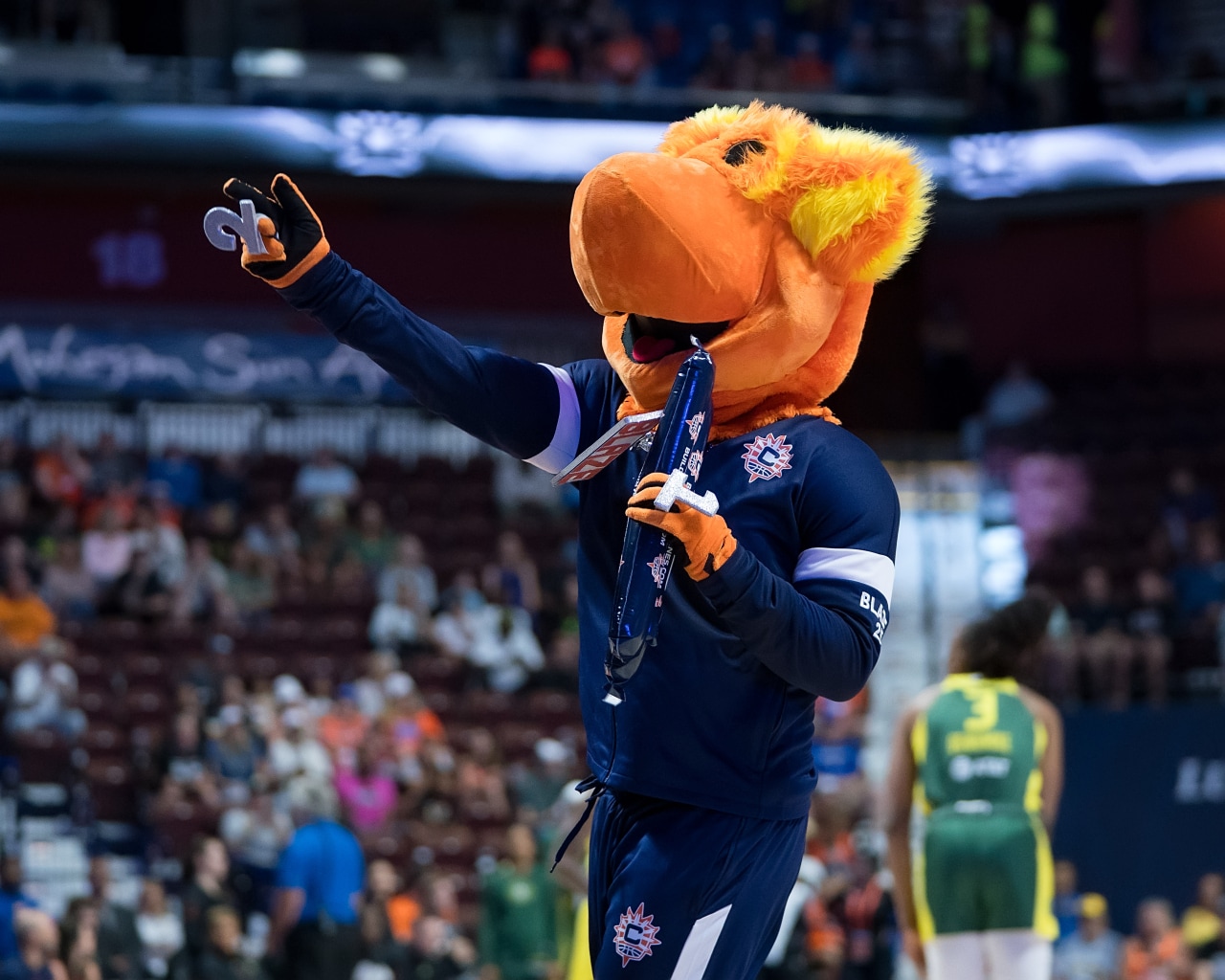 Seattle Storm vs. Connecticut Sun