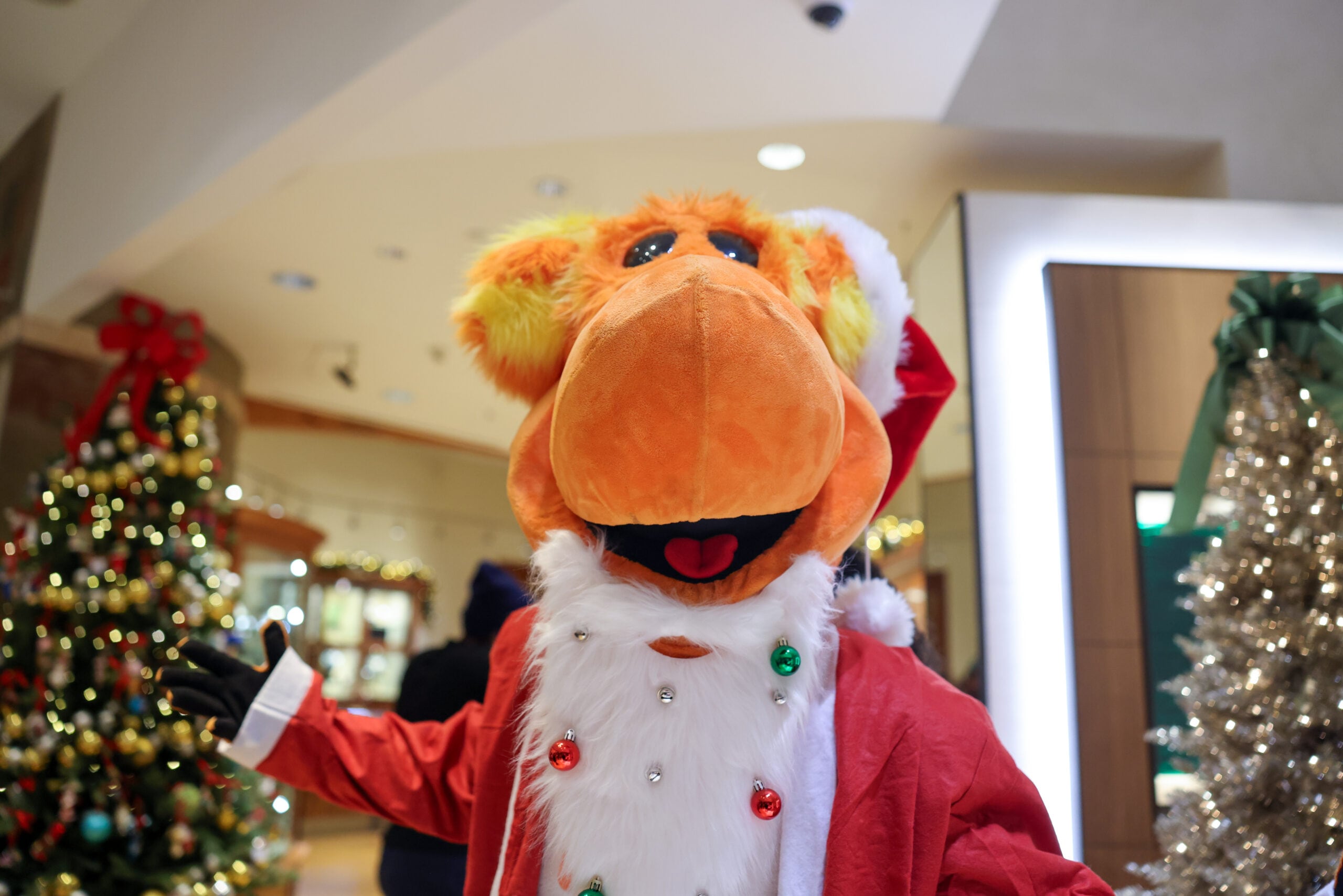 Lux Bond and Green Holiday Meet and Greet