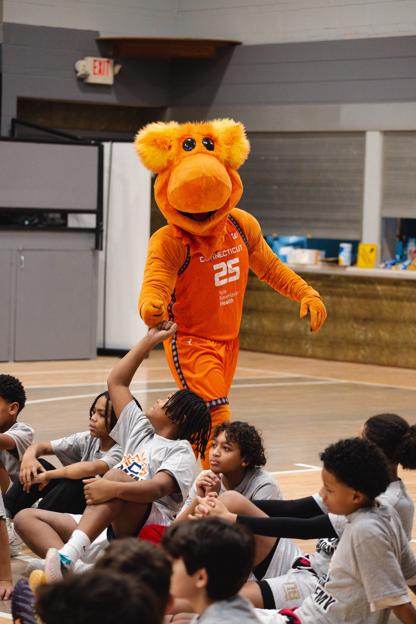 39367375_4_jpg_Enis_Perez_20260121_193438