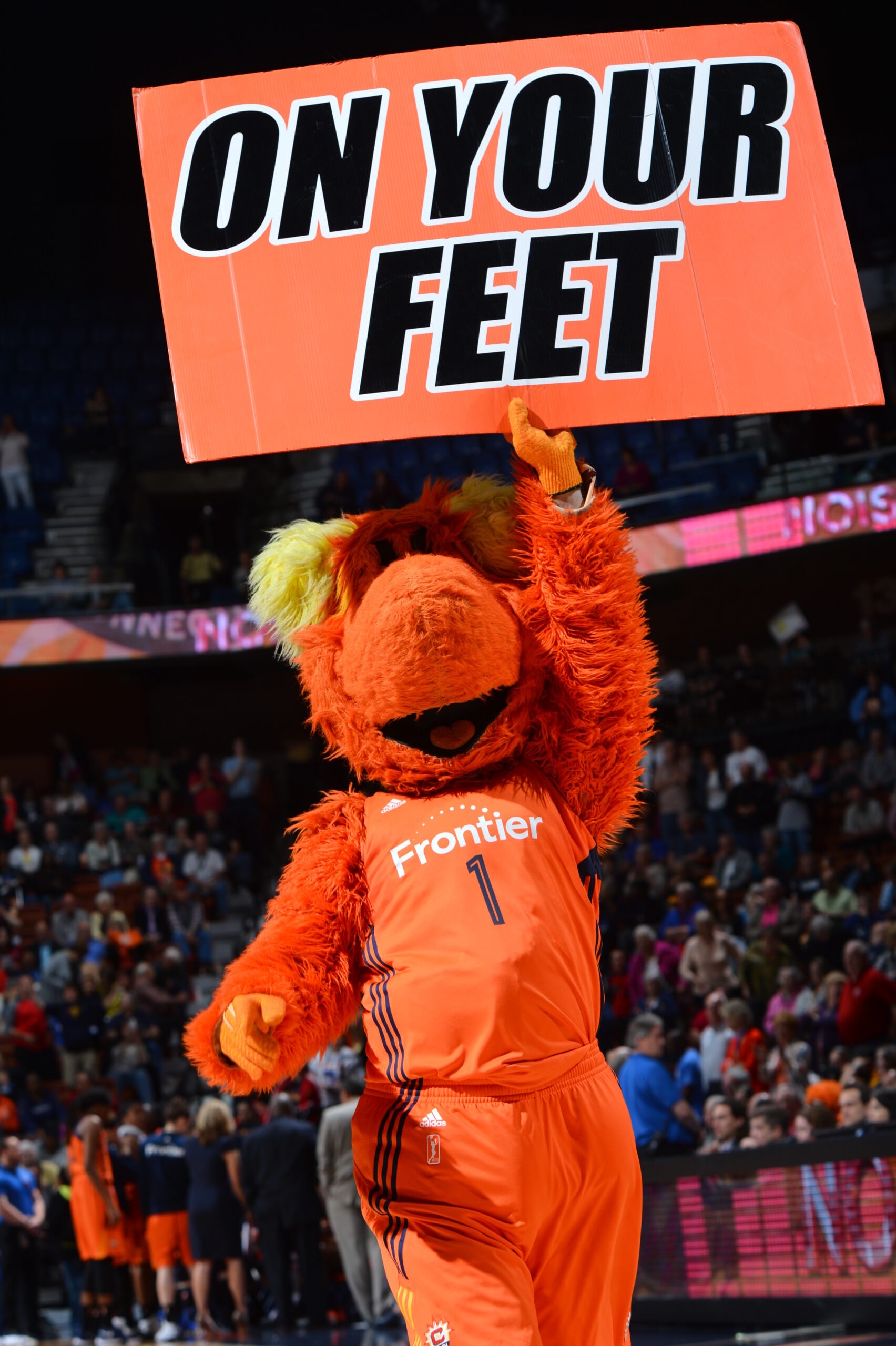 Washington Mystics v Connecticut Sun
