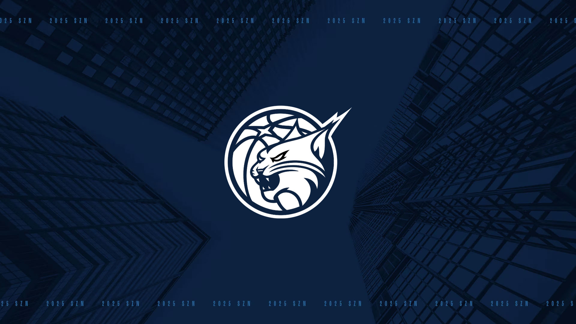 lynx.wnba.com