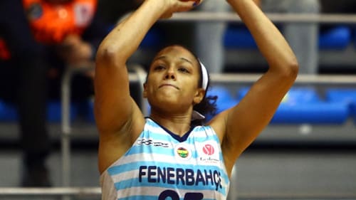 Fever Overseas Update: (January 20, 2016 – February 3, 2016)