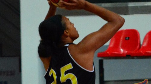WNBA Offers Players Mobile Security App for Safety Overseas