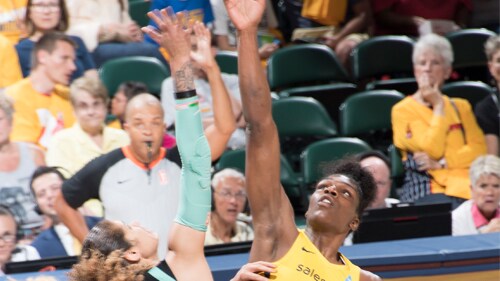 Indiana Fever vs. New York Liberty - Game Highlights