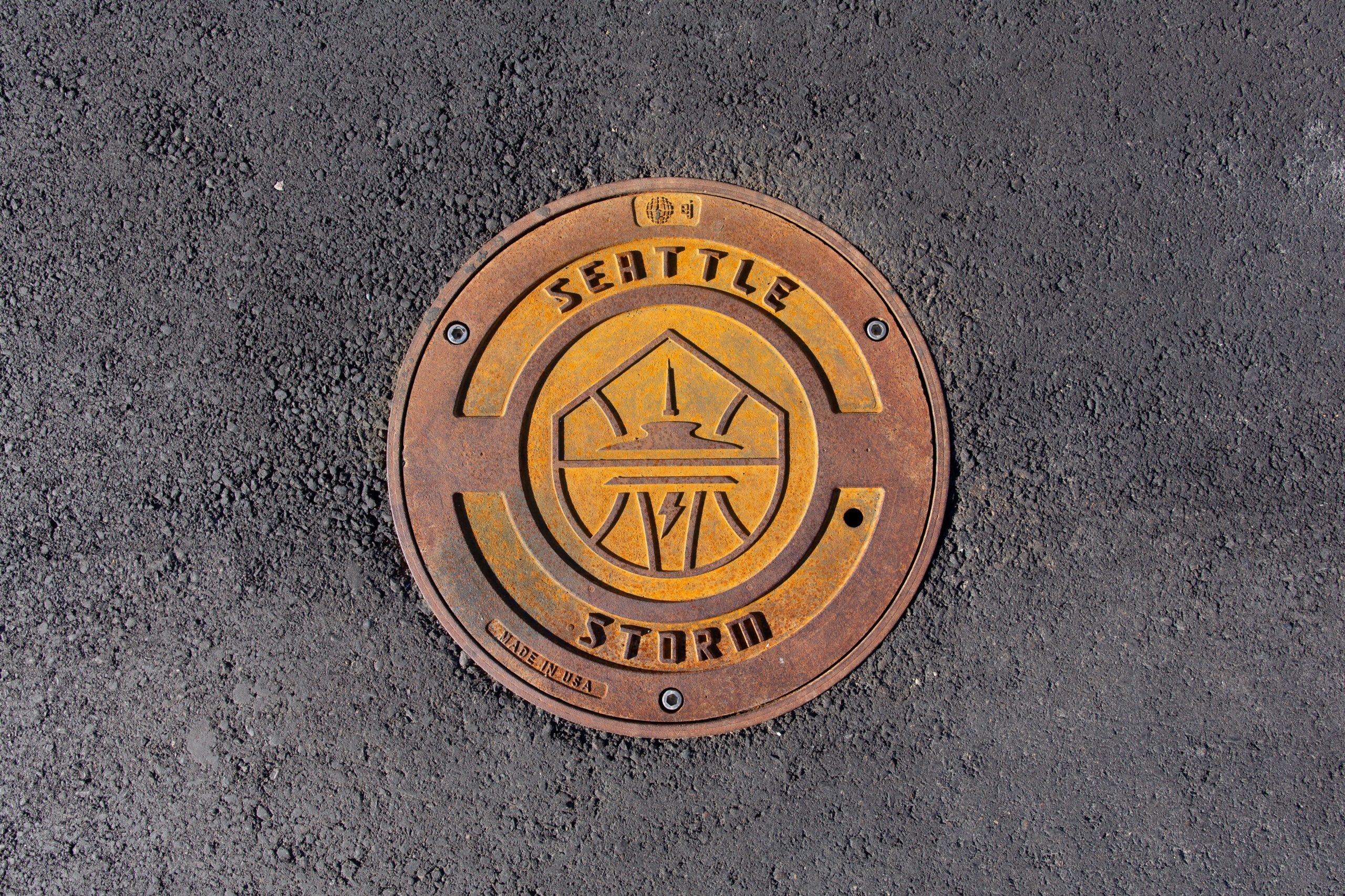 Seattle Storm Drains