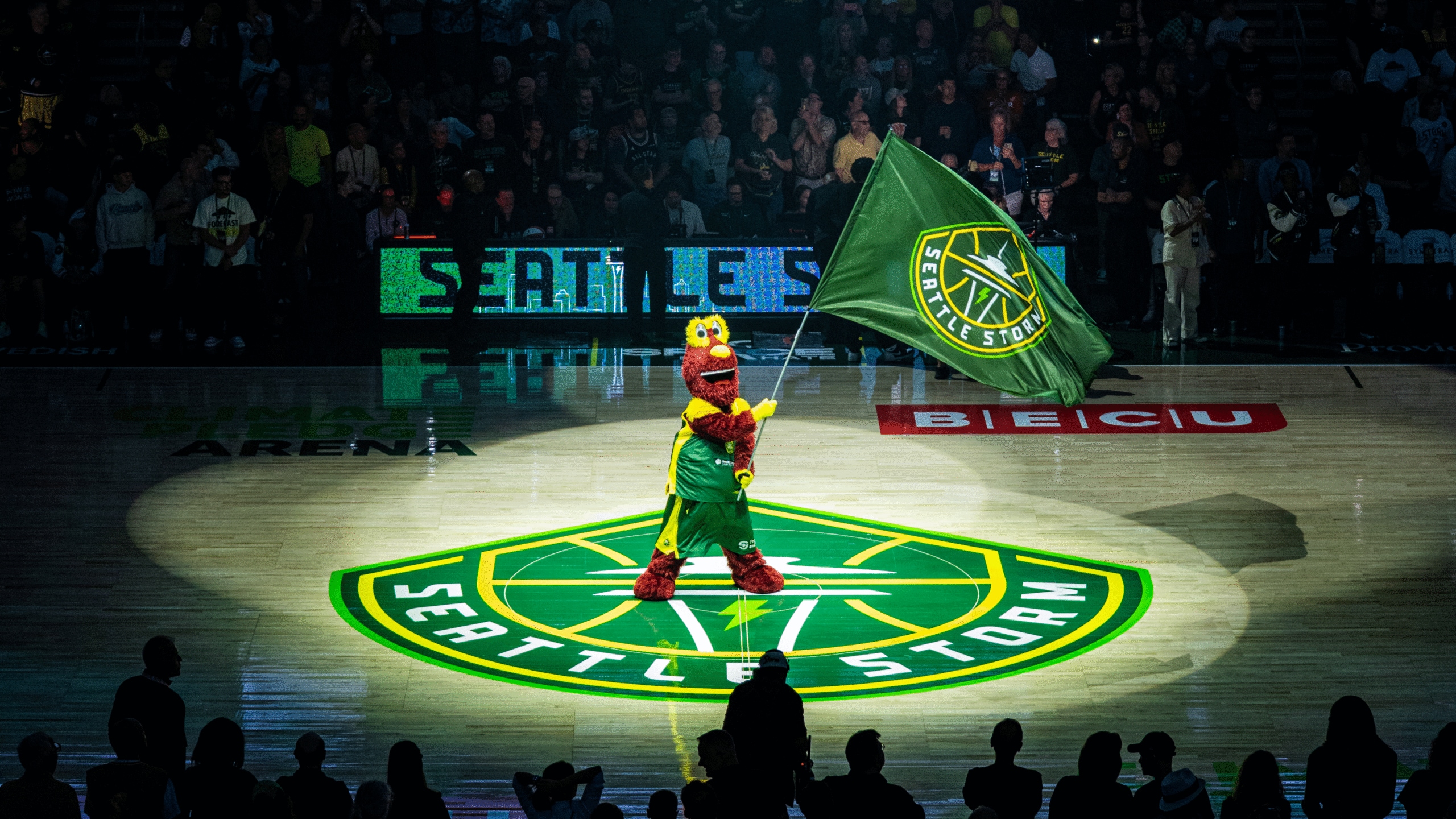 The Official Website of the Seattle Storm | WNBA
