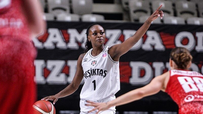 Sky Overseas + Offseason Updates: Rundown No. 20