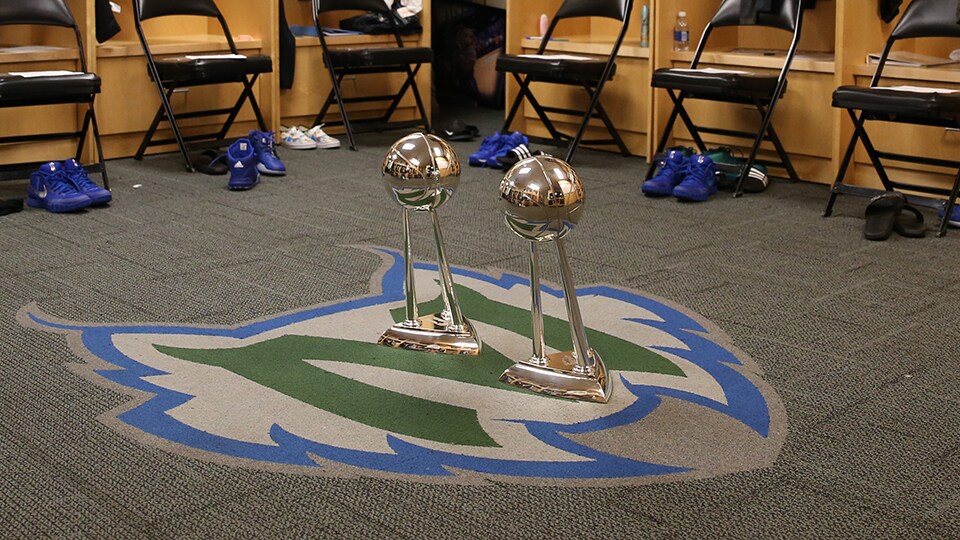 The WNBA Finals 2015 in Photos WNBA