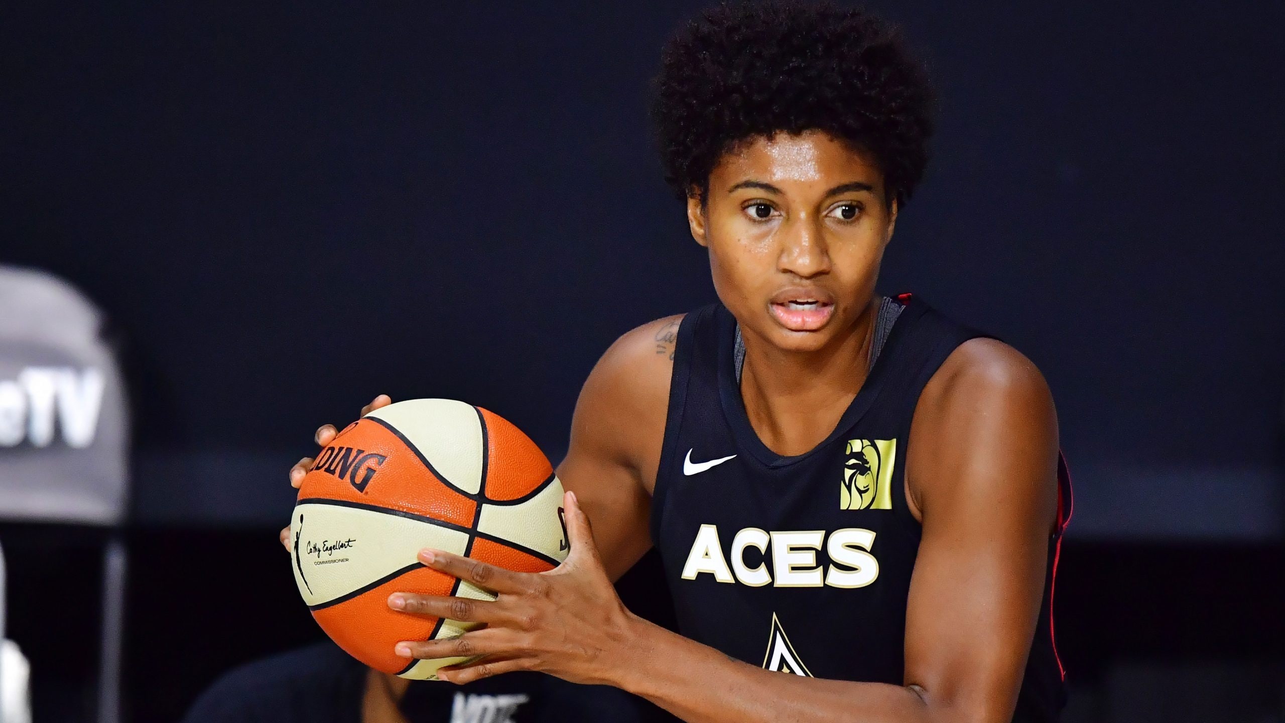 Top Buckets: Vet Edition