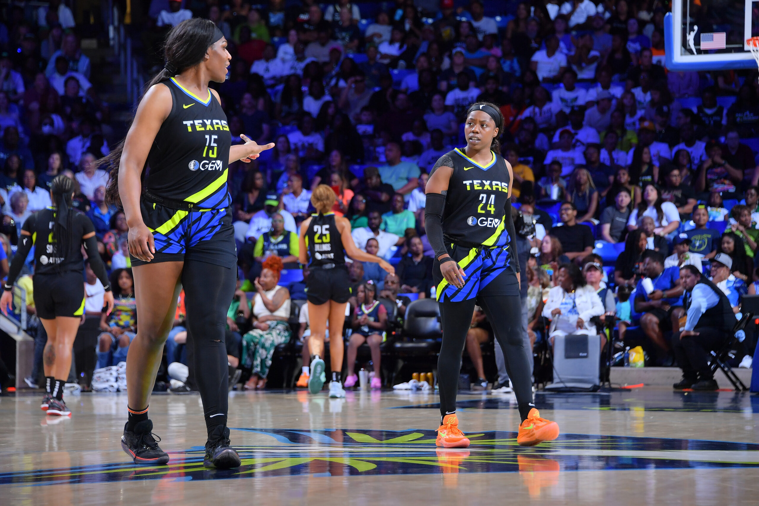 Wnba Howard Natasha Howard Stats, Height, Weight, Position, Draft Status and More ...