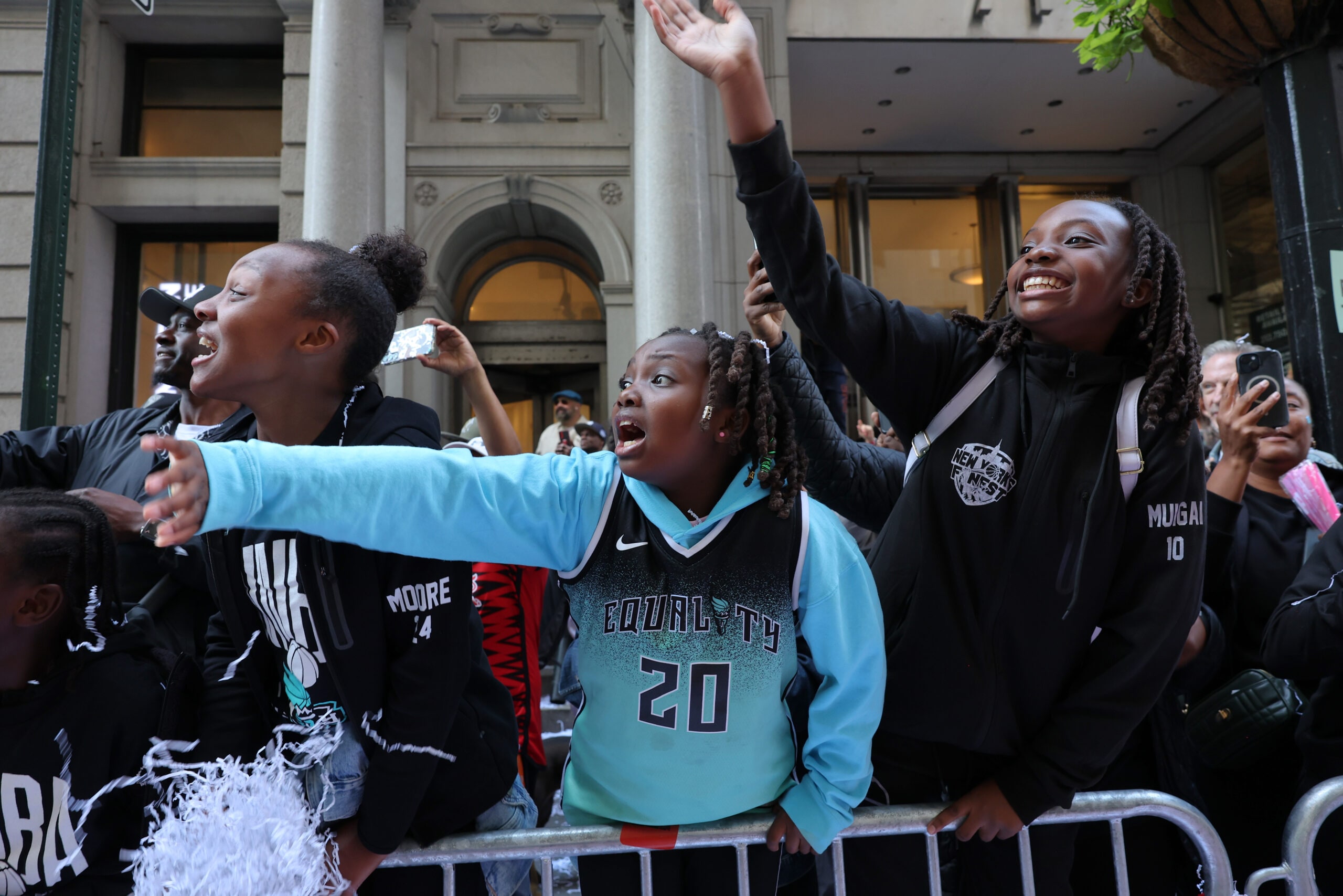 New York Liberty fans