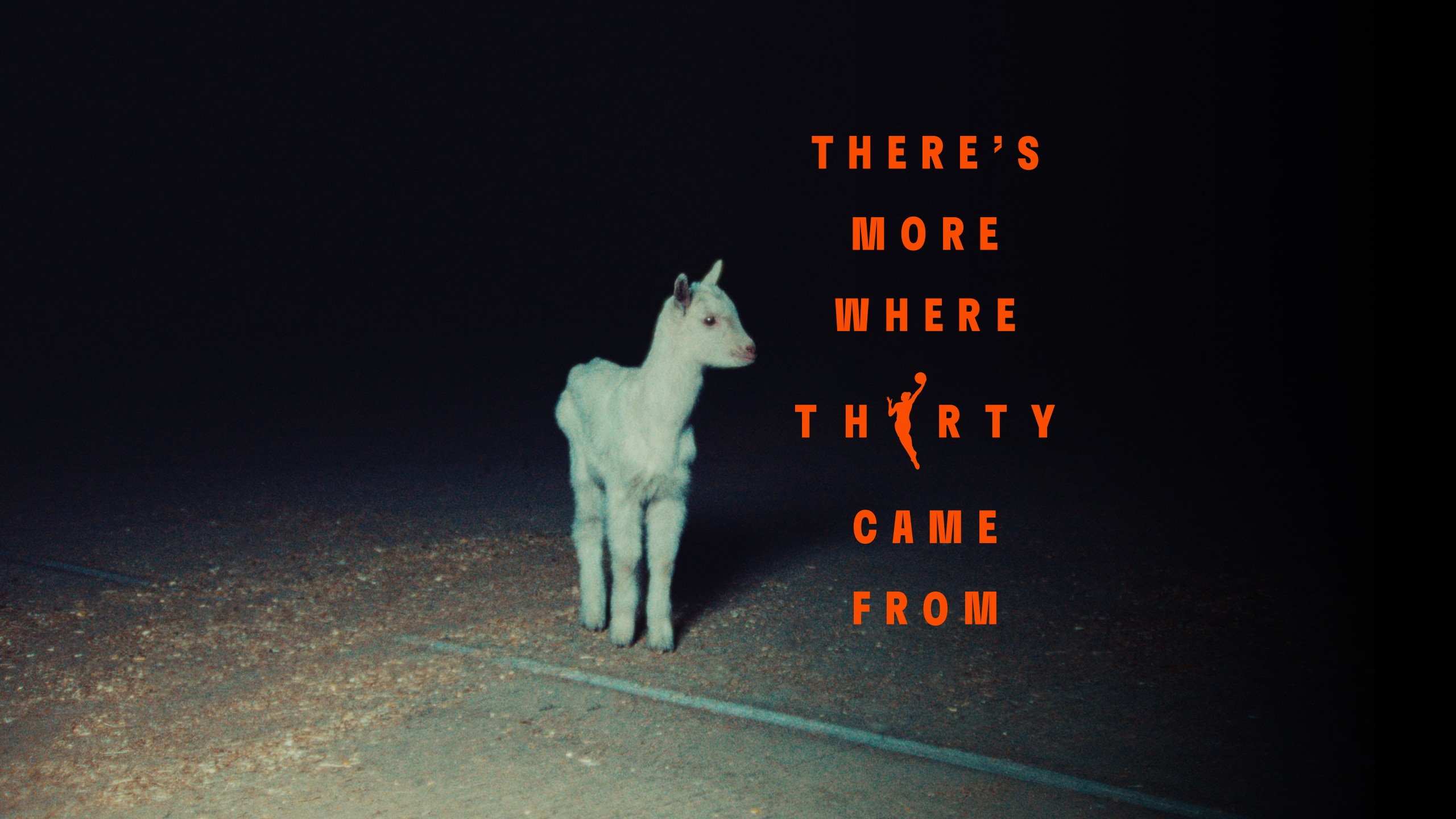 WNBA Launches 30th Season Celebration